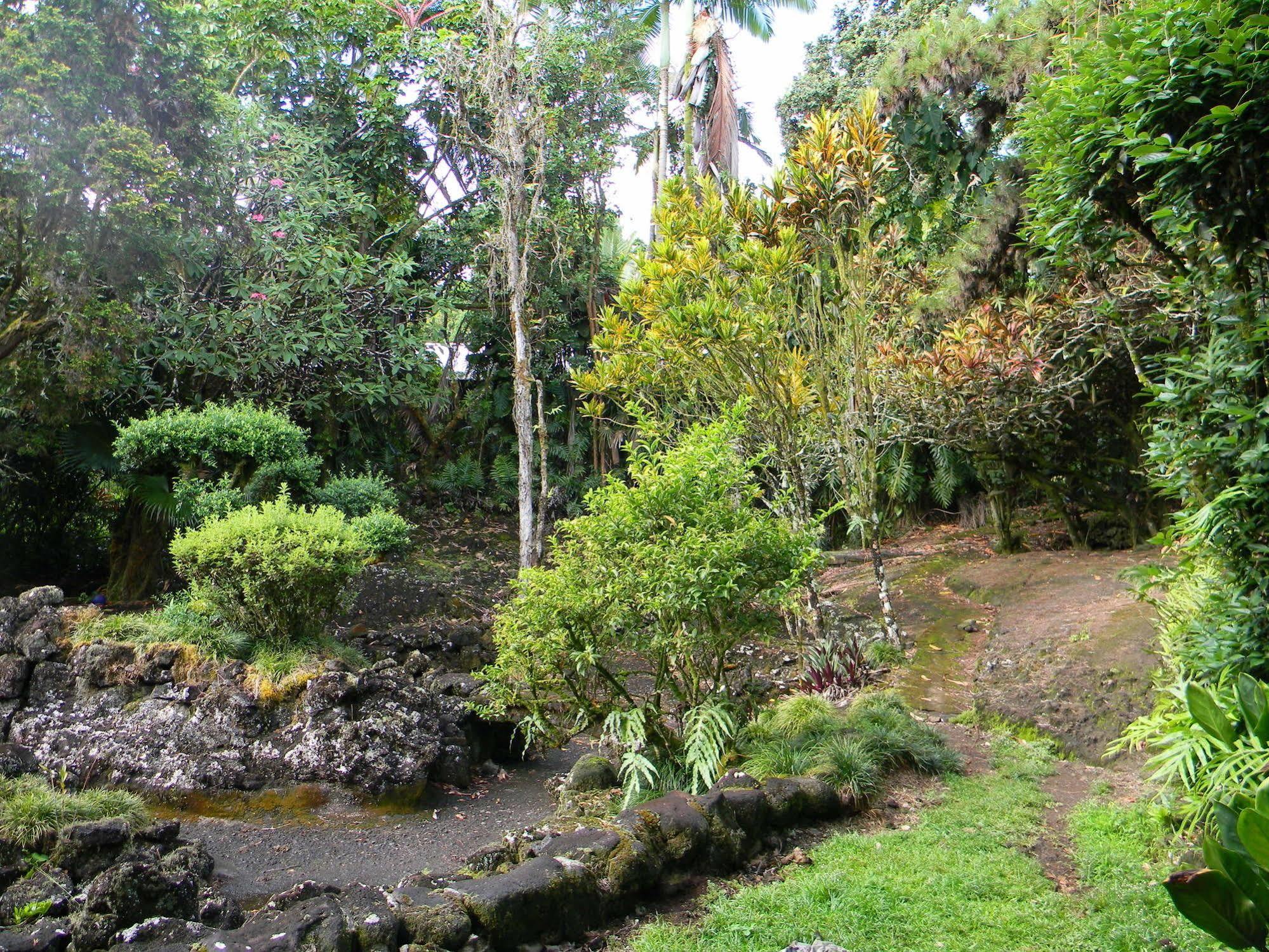 Maureen'S Bed And Breakfast Hilo Exteriér fotografie