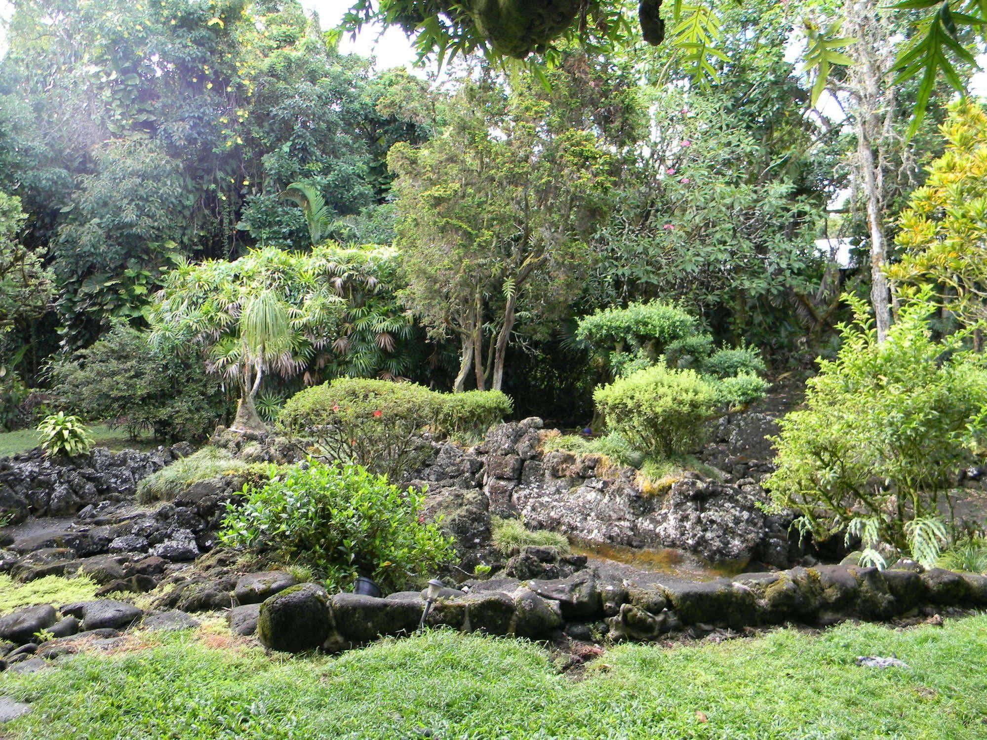 Maureen'S Bed And Breakfast Hilo Exteriér fotografie